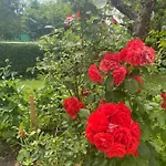 Garden *